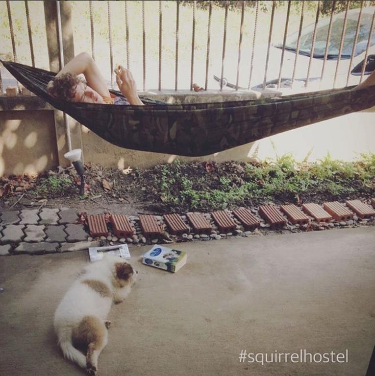 Squirrel Hostel Chiang Mai Ngoại thất bức ảnh